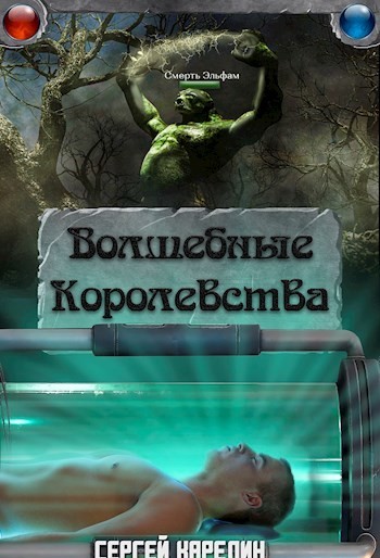 ЛитРПГ Волшебные Королевства