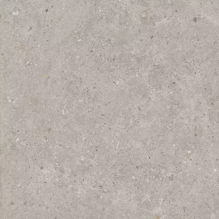  Напольная плитка «Kerama Marazzi» Риккарди 60x60 SG653720R серый светлый