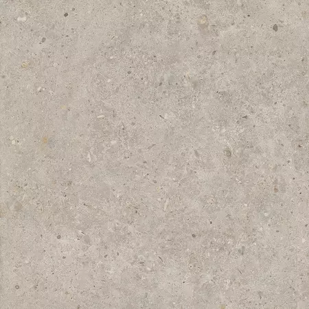   Блюмарт Напольная плитка «Kerama Marazzi» Риккарди 60x60 SG653820R бежевый