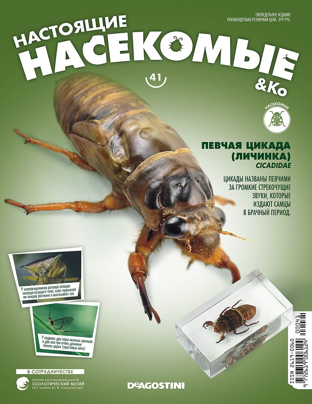   ДеАгостини Журнал  quot;Насекомые quot; №41