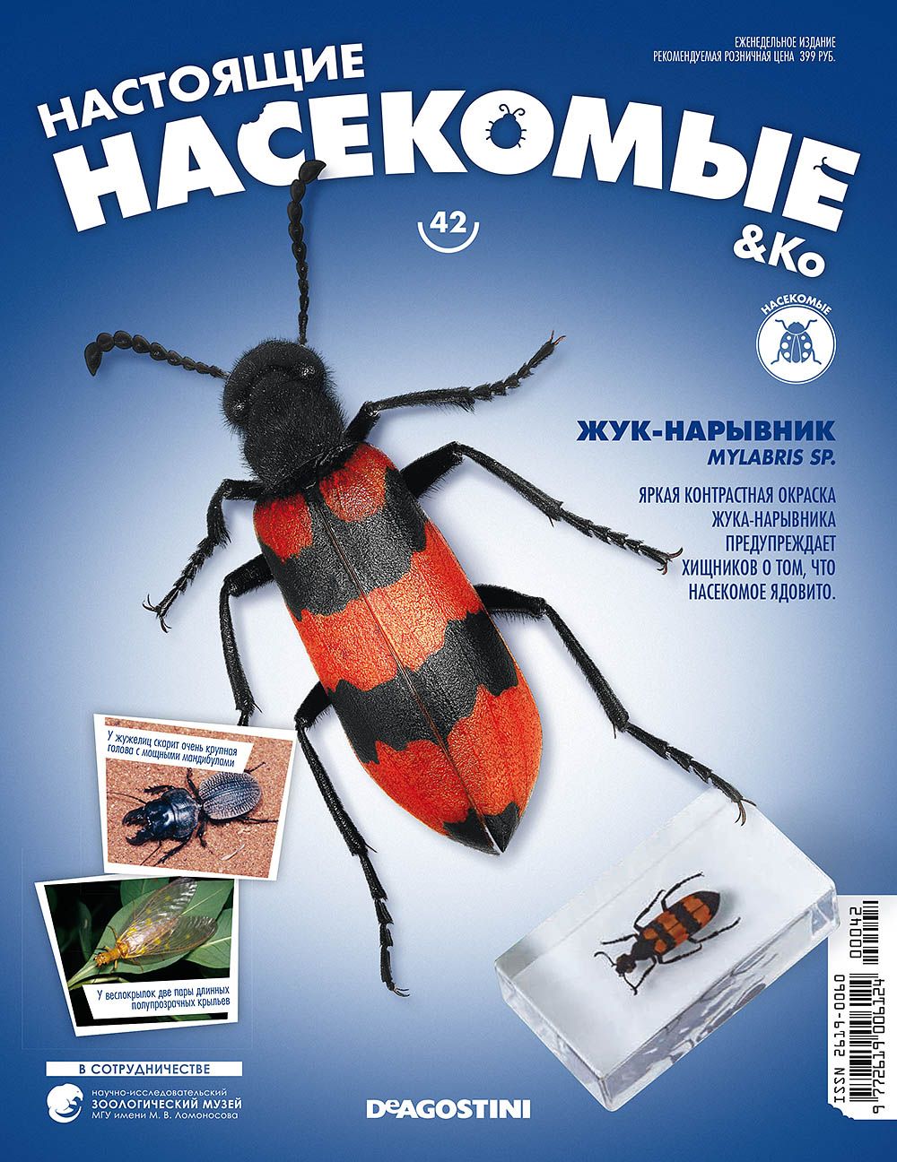  Журнал  quot;Насекомые quot; №42