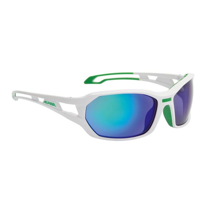 Очки Солнцезащитные Alpina 2018 Berryn Cm+ White-Green