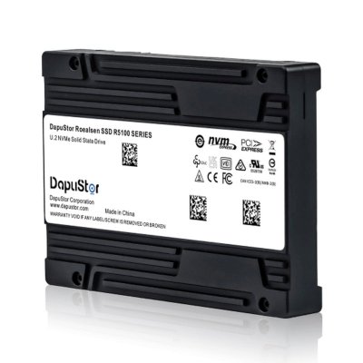 DapuStor R5101 3.84Tb