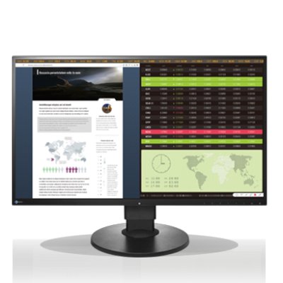 Eizo FlexScan