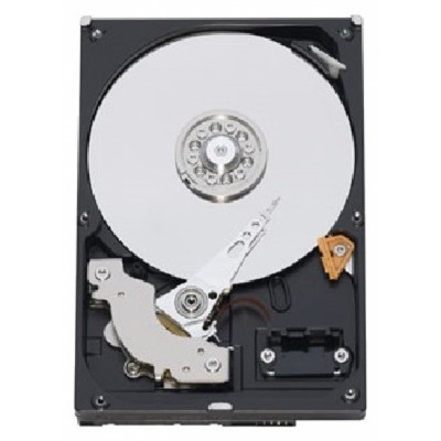 WD Blue 1Tb