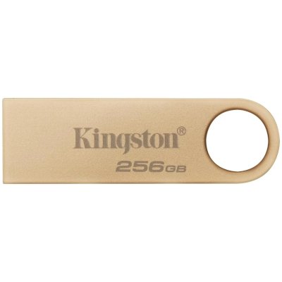 Kingston 256GB