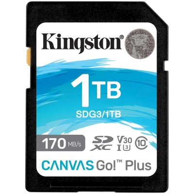  Kingston Canvas Go! Plus 1TB