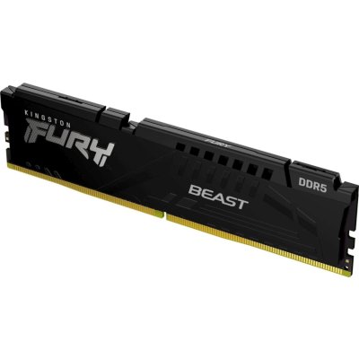 Kingston Fury Beast Black