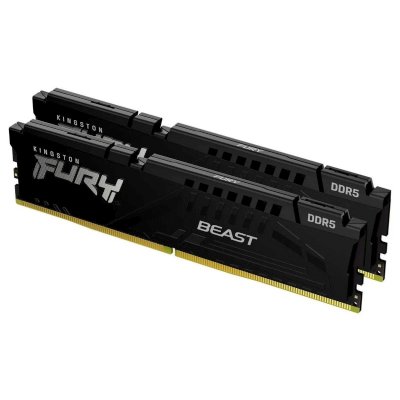 Kingston Fury Beast Black