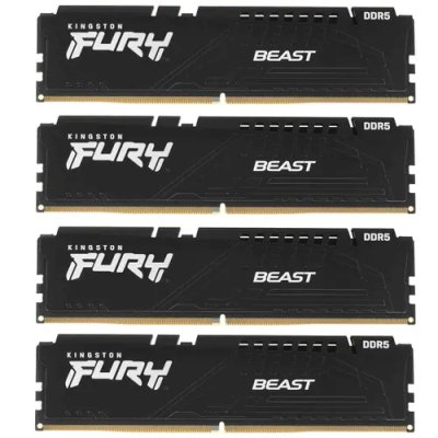 Kingston Fury Beast Black