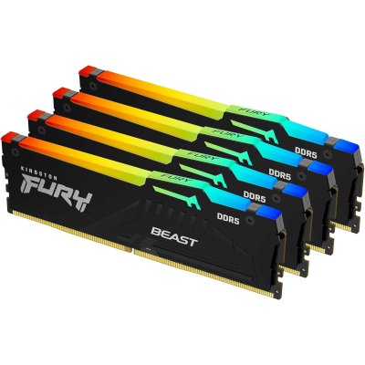 Kingston Fury Beast Black RGB