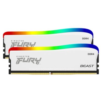 Kingston Fury Beast RGB Special Edition