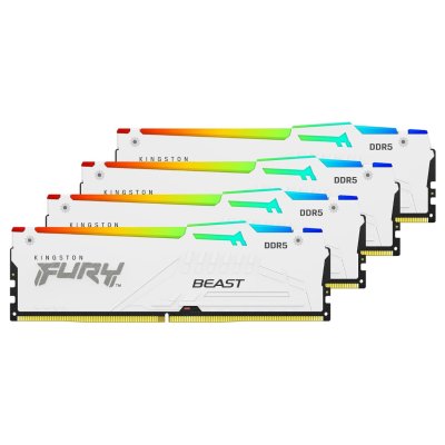 Kingston Fury Beast White RGB