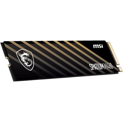 MSI SPATIUM M460 1Tb