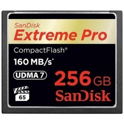 SanDisk 256GB