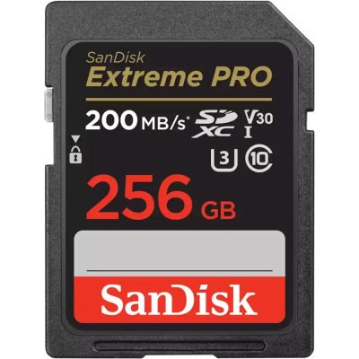 SanDisk 256GB