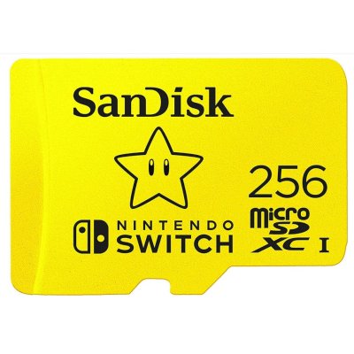 SanDisk 256GB