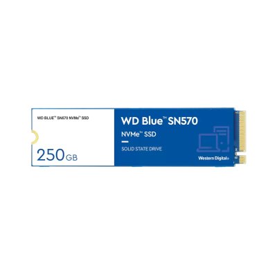 WD Blue SN570 250Gb