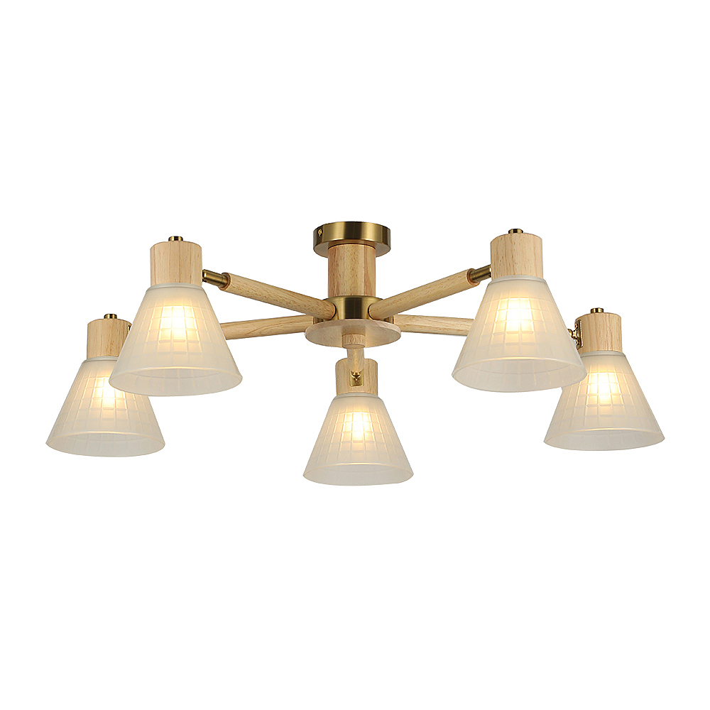 Потолочная люстра Arte Lamp A4096PL-5BR