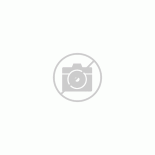 1212056  CRIMPFOX-RCI 1/DIE  Запасная матрица Phoenix Contact