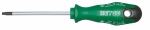 HE-04515002080 TORX-SCHR.-DR.         CV  4515  T20 HEYCO