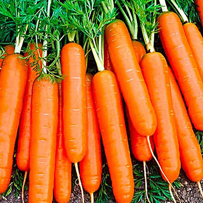Семена моркови Морковь Нэля F1 (2 гр.)