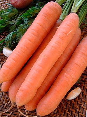 Семена моркови Морковь Нанте (2 гр.)