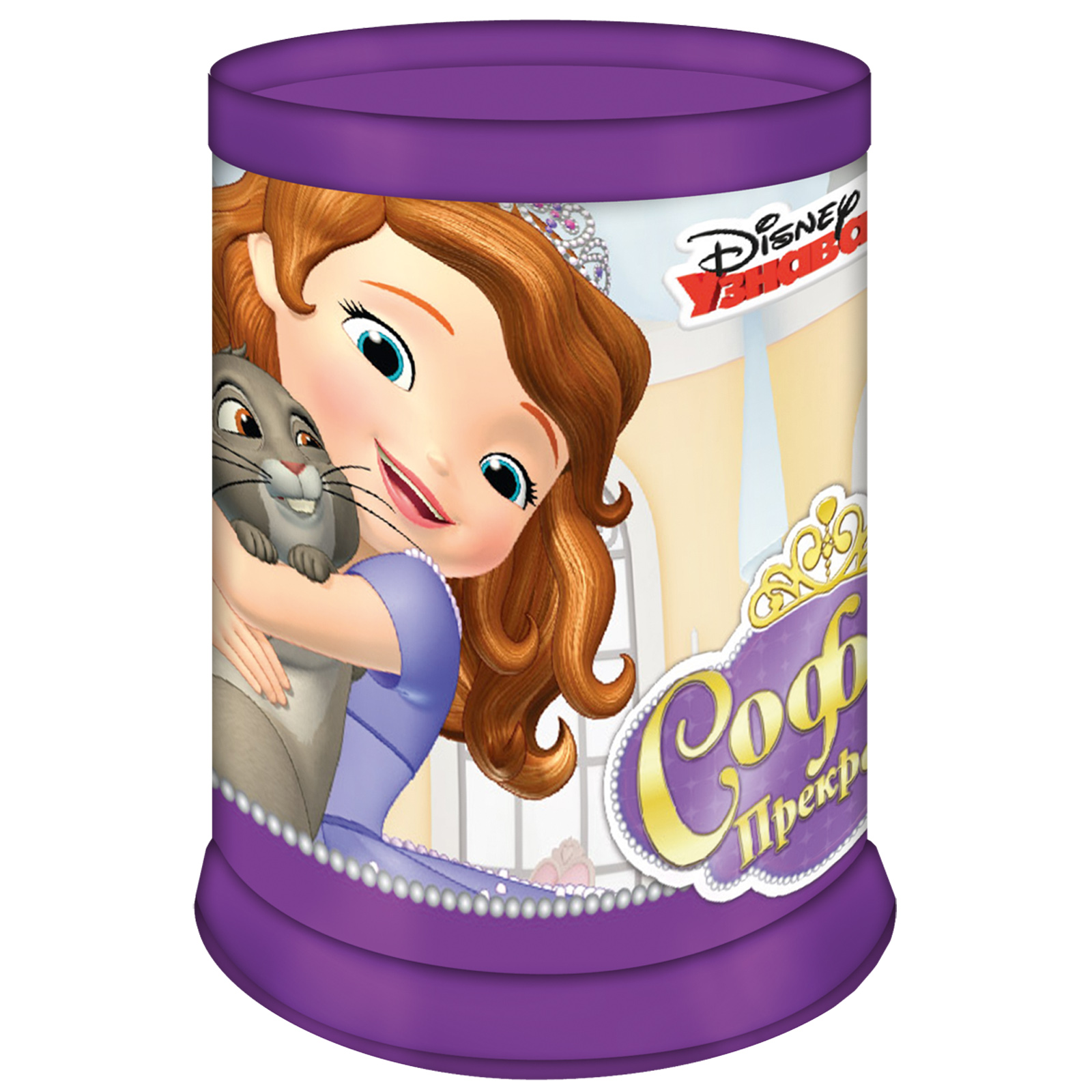 Пеналы  ToyWay Сборный стакан для канцелярских принадлежностей Disney София Прекрасная