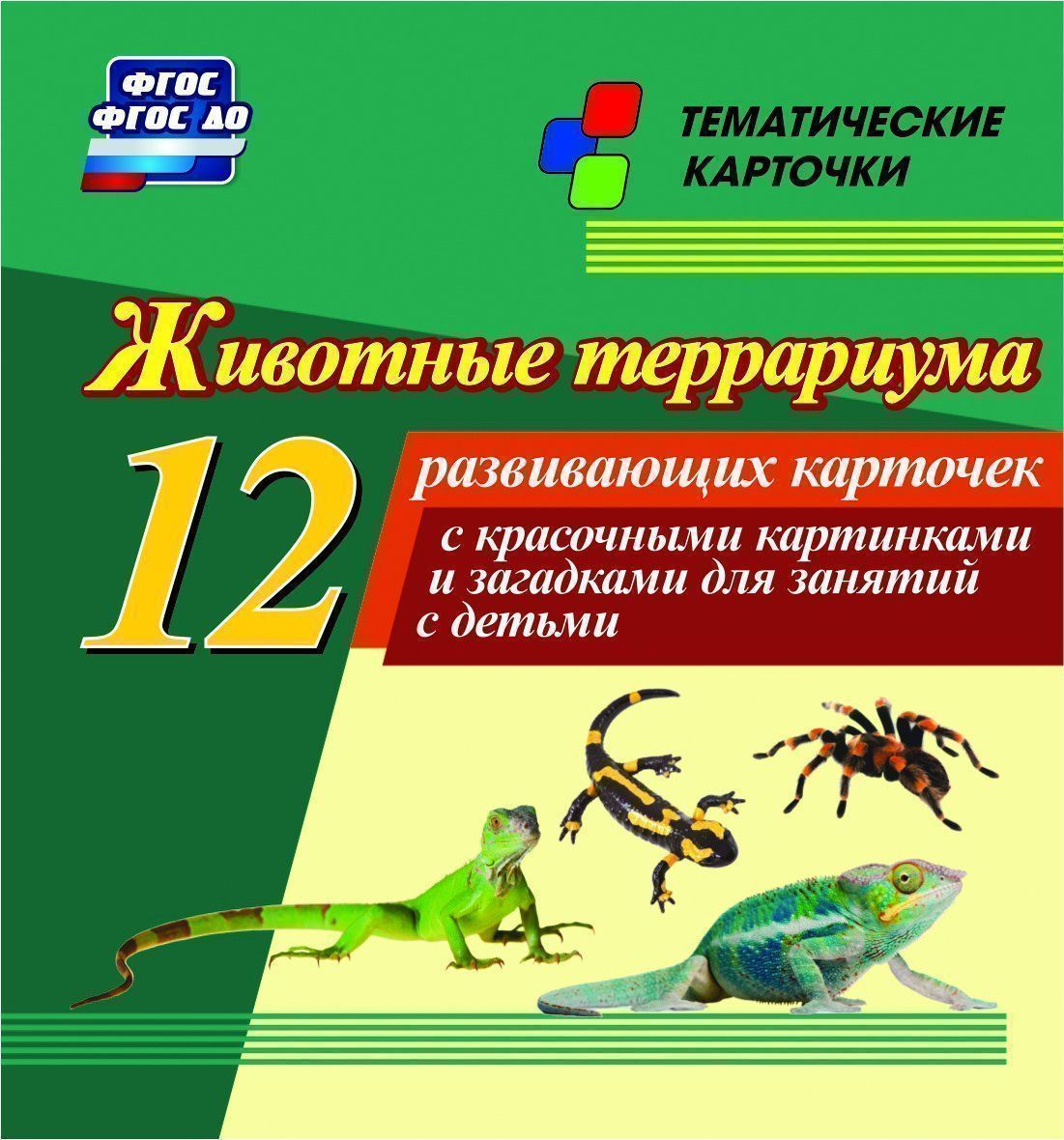 Животные террариума: 12 развивающих карточек с красочными картинками и загадками для занятий с детьми.