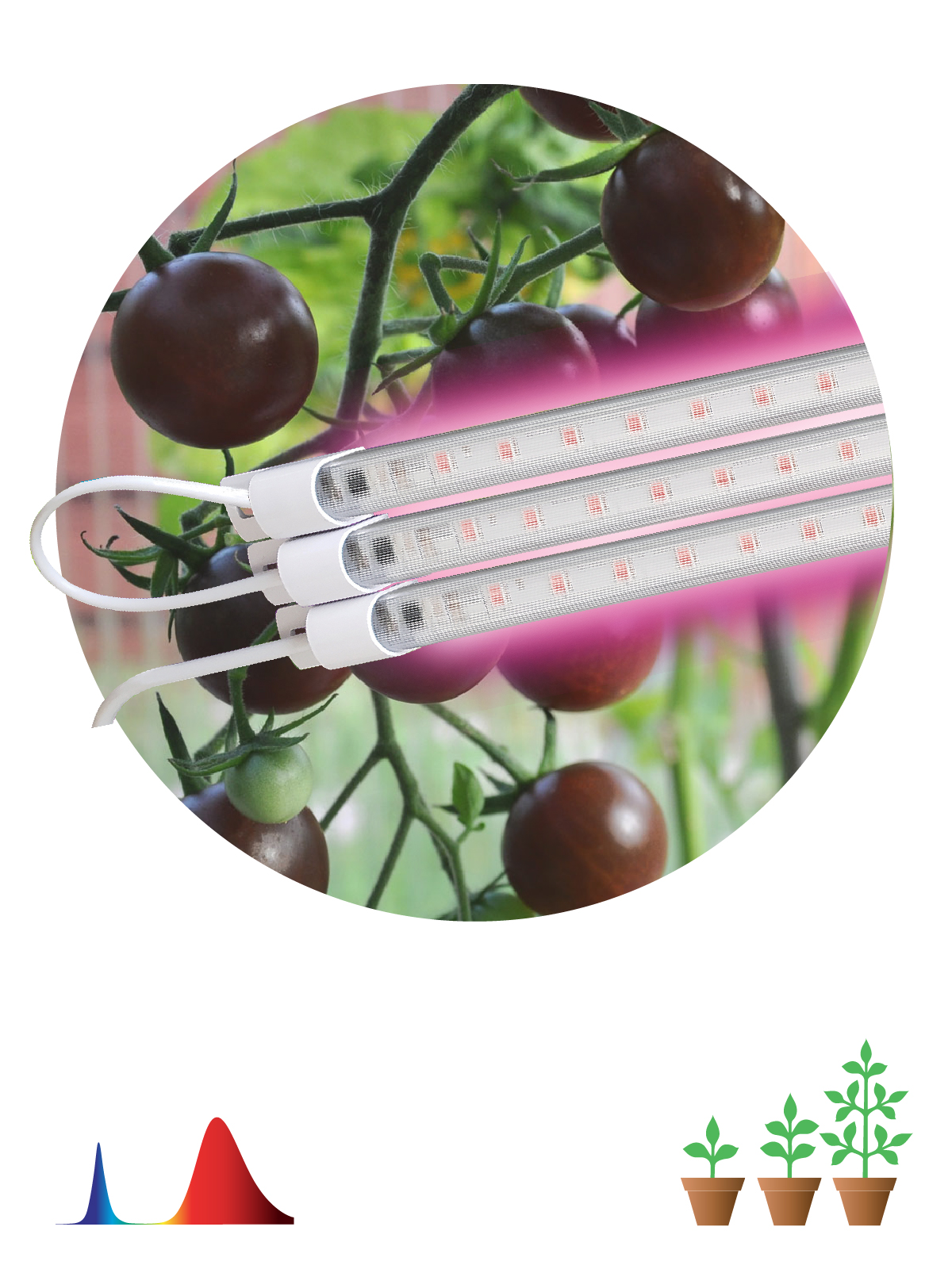 Модульный светильник для растений Эhf FITO-3х10W-LINE-RB90 красно-синего спектра 30 Вт