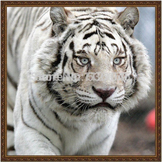  Lily Home Beauty DIY arificials AB044 Diy diamond painting AB044