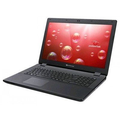 Ноутбук Packard Bell EasyNote ENLG81BA-P5GN (NX.C44ER.006) (NX.C44ER.006)
