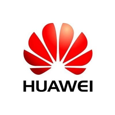 Жесткий диск серверный Huawei 06010249 32Gb (06010249)