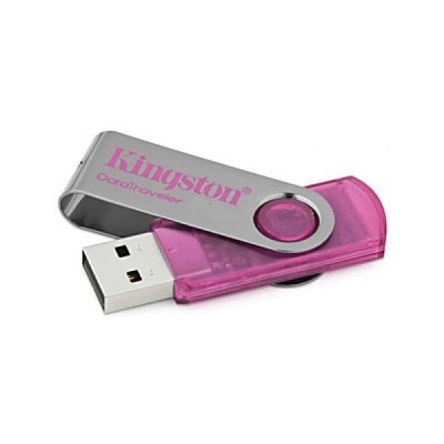USB накопитель 32Gb Kingston Data Traveler 101 лиловый (DT101G2/32GB)